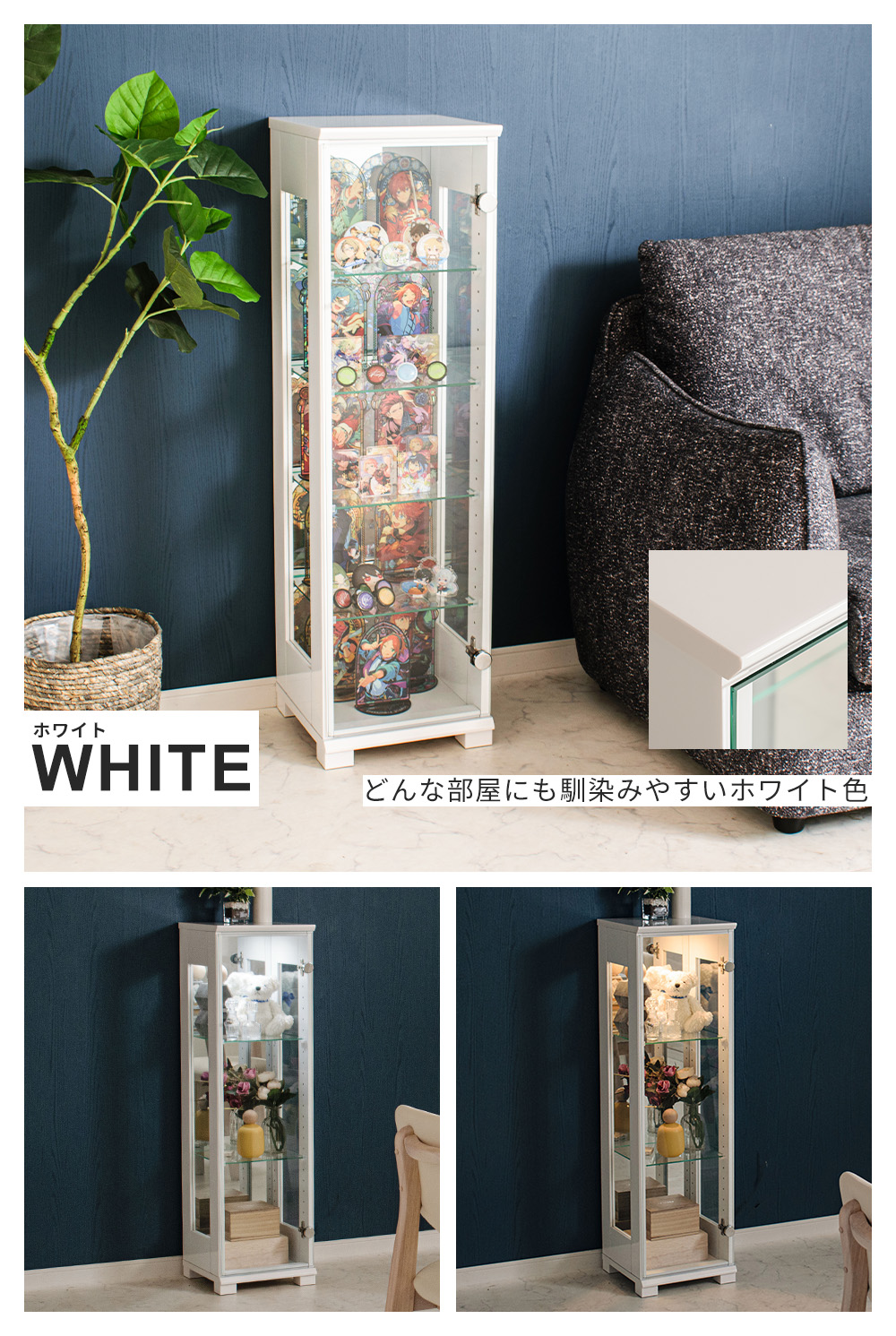 With Plan（ウィズプラン） コレクションケース 30cm コレクション