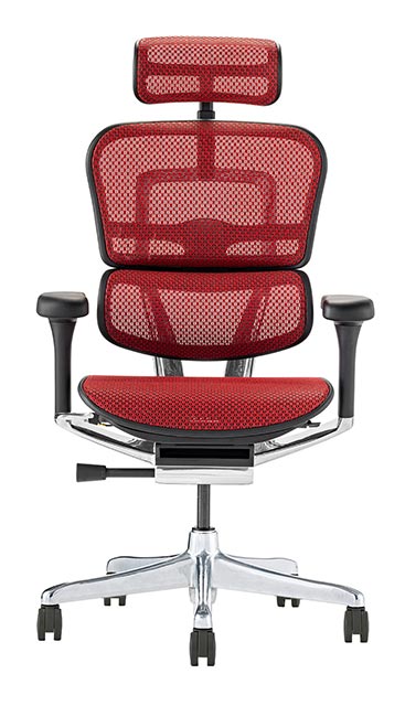 エルゴヒューマン（Ergohuman） 2025年新型 レビュー特典あり 組立設置