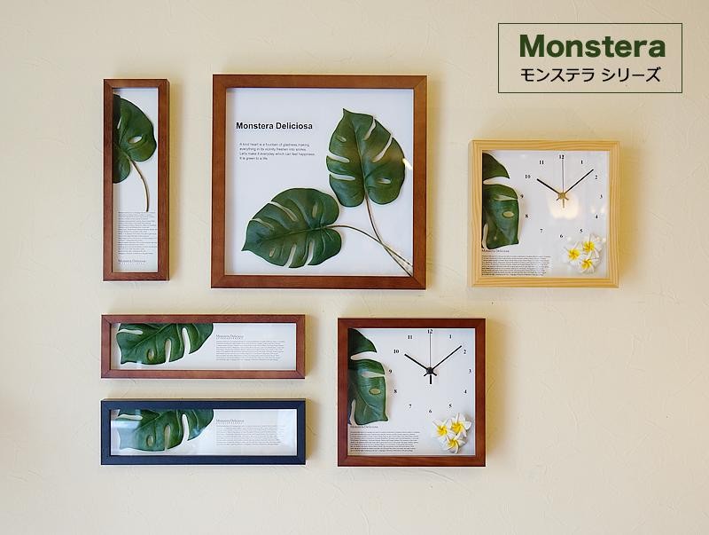 monstera-top1.jpg