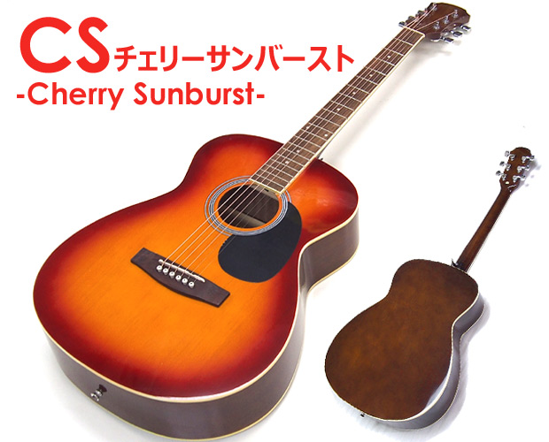 アコースティックギター アコギ 初心者 入門 スペシャル18点＋歌本付