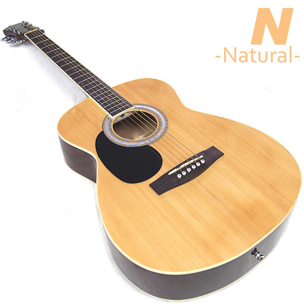 アコースティックギター アコギ レフトハンド 左利き 初心者 入門 16点