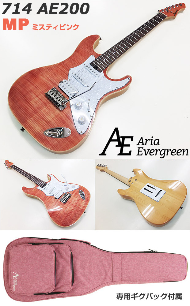 Aria Proll エレキギター 初心者セット 入門セット AriaProII 714