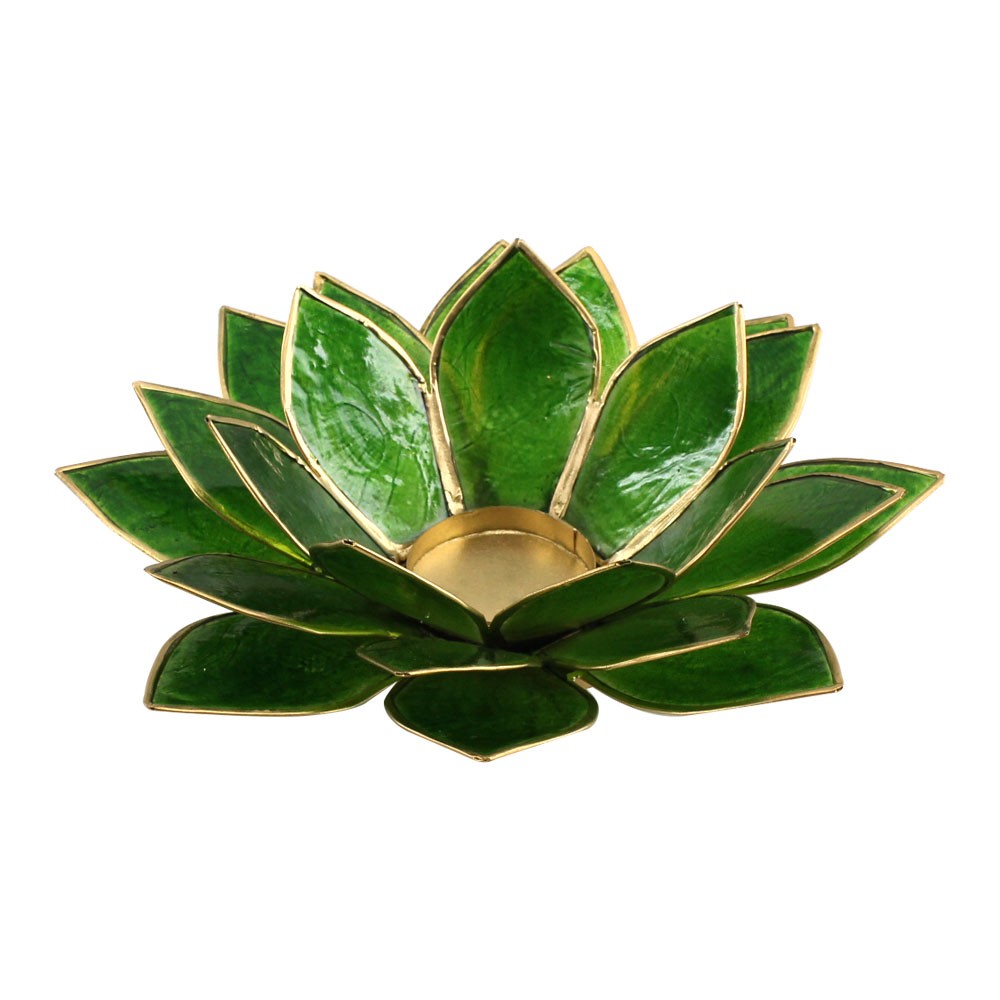 キャンドルホルダー ろうそくたて キャンドルスタンド M シェル 貝殻