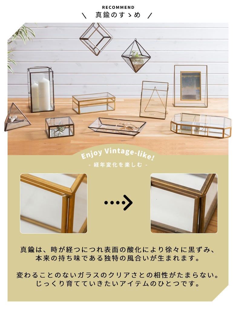 ガラスと真鍮でできた三角形のテラリウム 容器 鉢植え ガラスケース