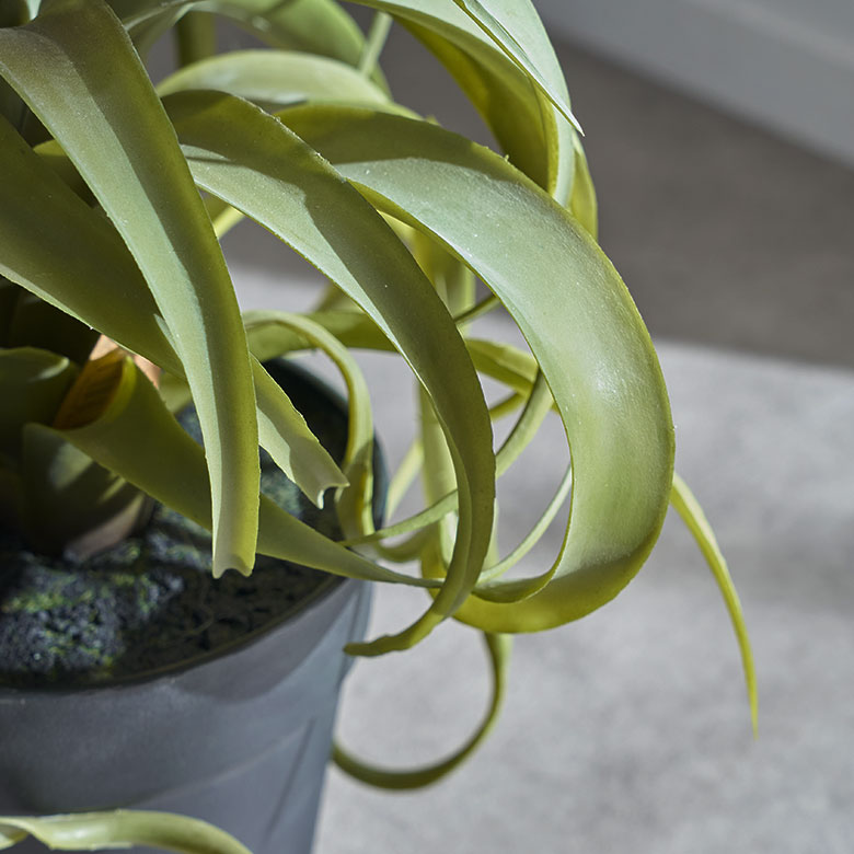 フェイク グリーン チランジア キセログラフィカ 高さ 30cm 人工 観葉