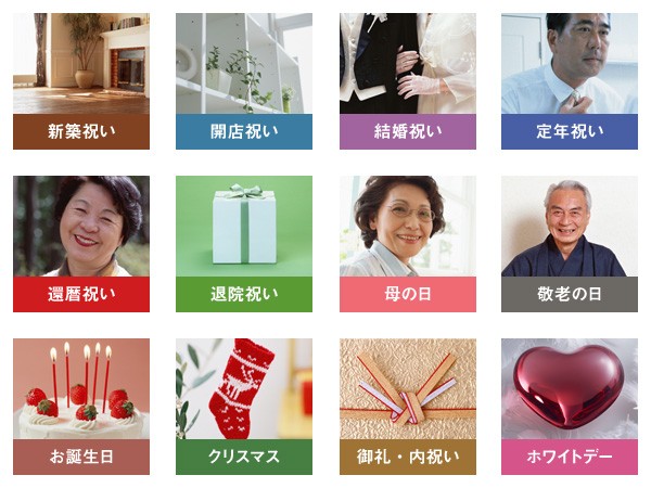 レンデフロール カトレア 胡蝶蘭 シクラメン グラジオス ドライ