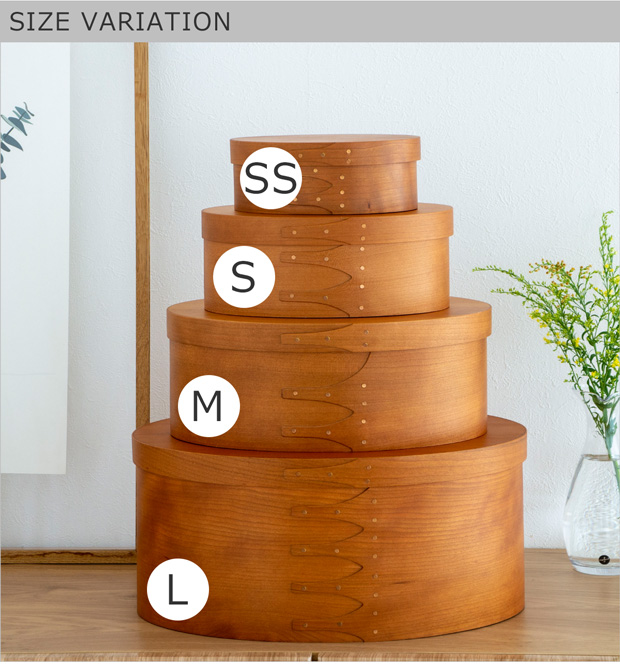 AXCIS（アクシス） ＼2/25はポイント10倍／ シェーカーボックス S