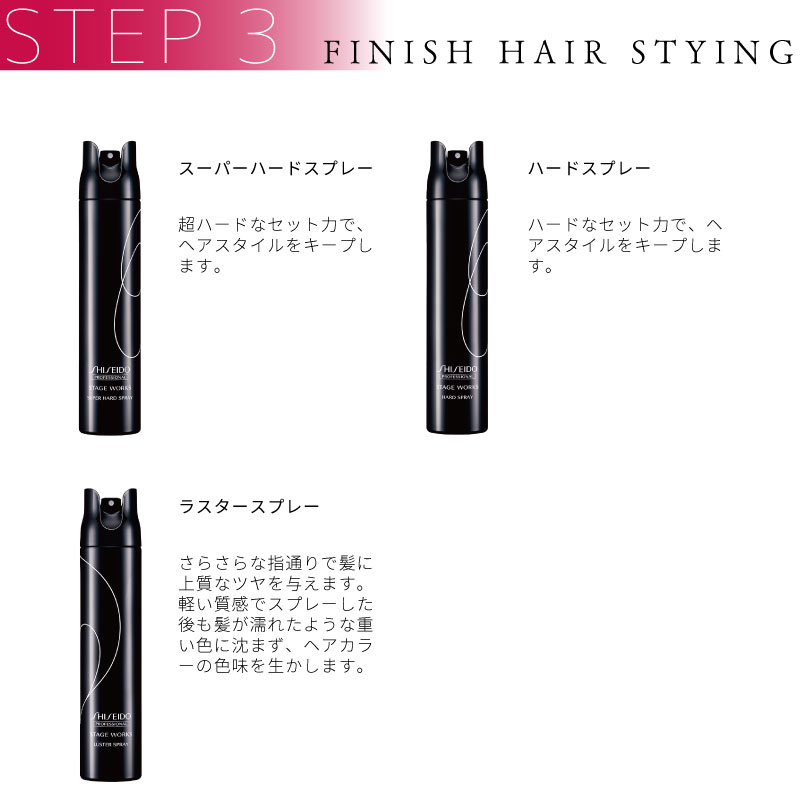 STAGE WORKS 資生堂 ステージワークス パウダーシェイク