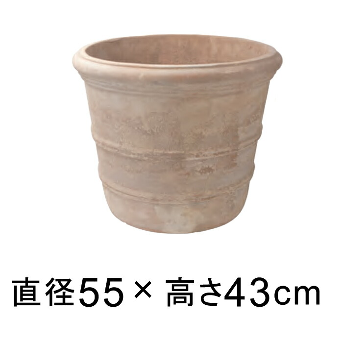 テラコッタ鉢」の人気商品一覧 | 安い商品を通販サイトから探す - 価格.com