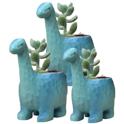 花のギフト社 多肉植物 鉢植え 多肉 トリケラトプス ティラノサウルス