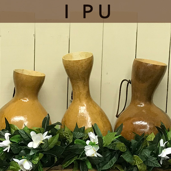 イプヘケ フラダンス フラ打楽器 ハワイアン ハワイ イプヘケバンド