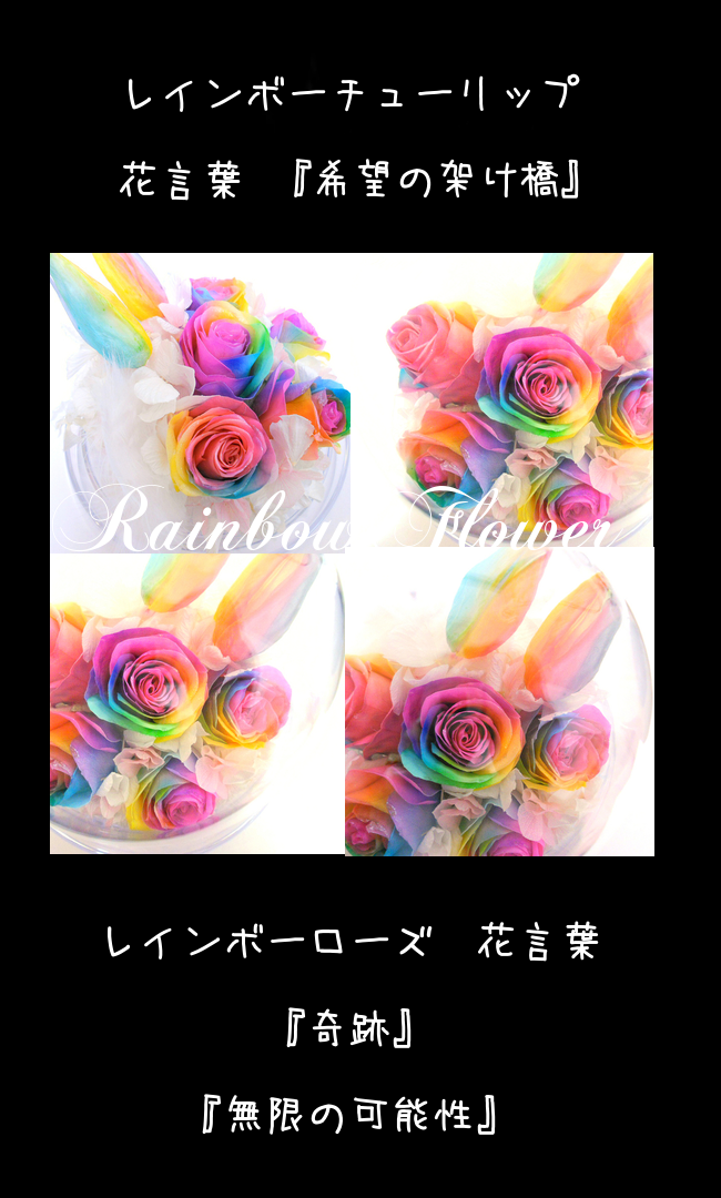 サウンドアレンジ 【楽天ランキング1位】ケース入りレインボー