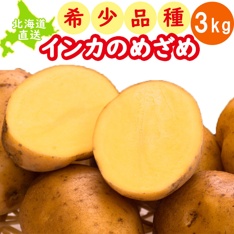種 じゃがいも インカのめざめ」の人気商品一覧 | 安い商品を通販
