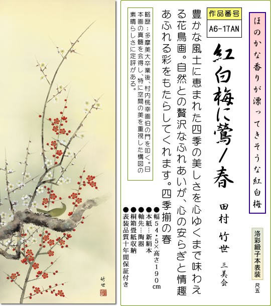 掛軸 掛け軸-紅白梅に鶯[春]/田村竹世 花鳥画掛軸(尺五・桐箱・風鎮