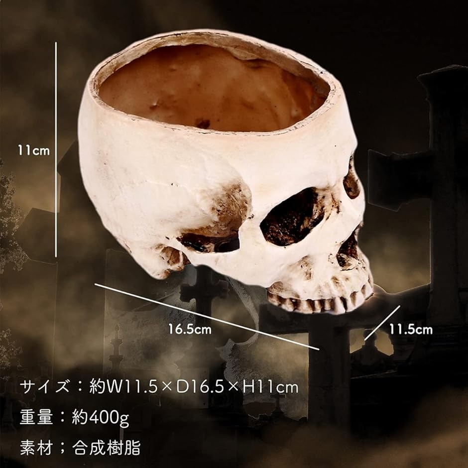 ガラ空き ドクロ 小物入れ 卓上 リアル 頭蓋骨 骸骨 ガイコツ おしゃれ