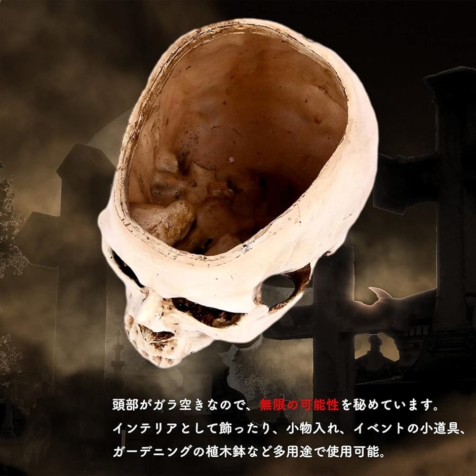 ガラ空き ドクロ 小物入れ 卓上 リアル 頭蓋骨 骸骨 ガイコツ おしゃれ