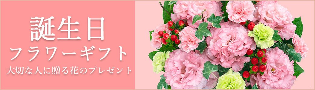 花キューピット - Yahoo!ショッピング