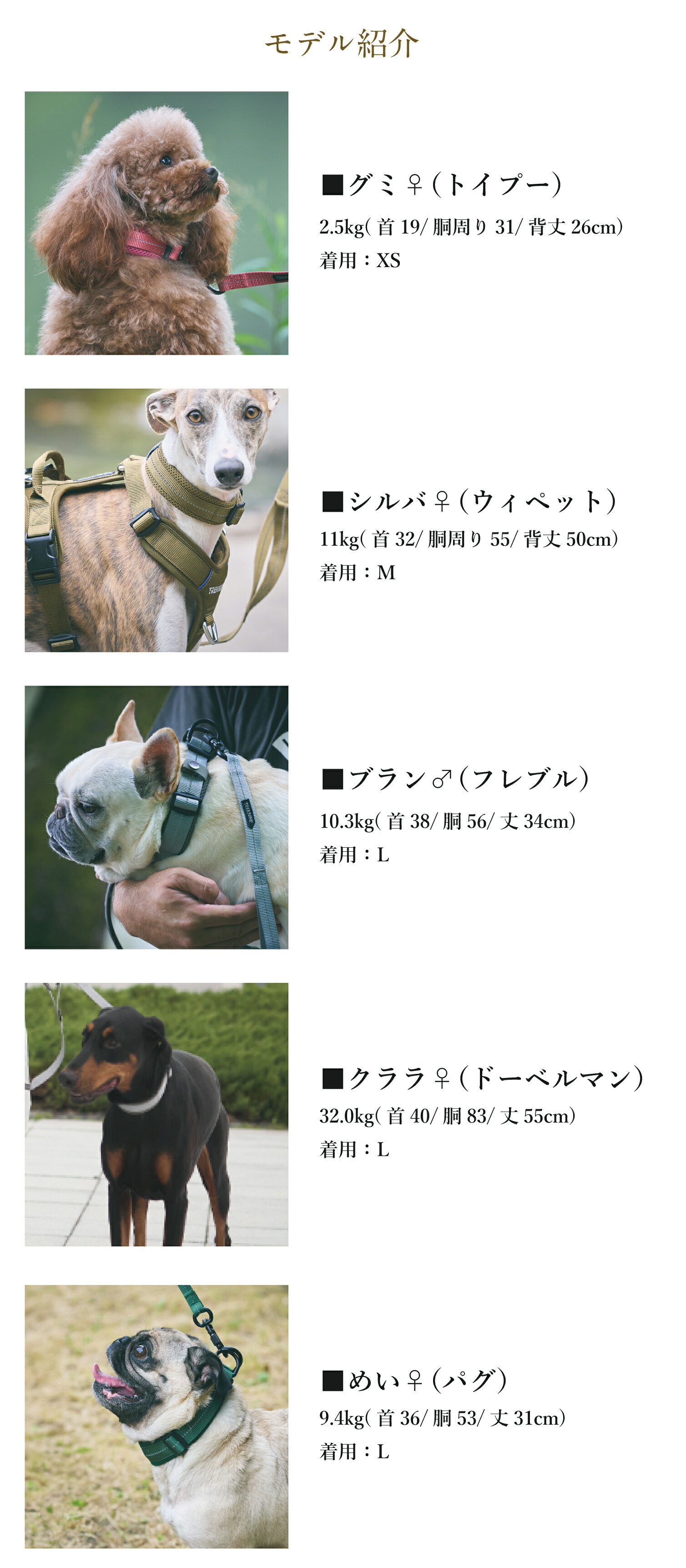 iDog 犬 首輪 TREKNINE|カラー|ダブルリングメッシュパッド XS/Sサイズ