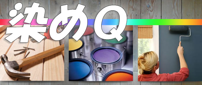 染めQ 染めQネイビーブルー264ml人気のナノテクカラースプレー : ISI