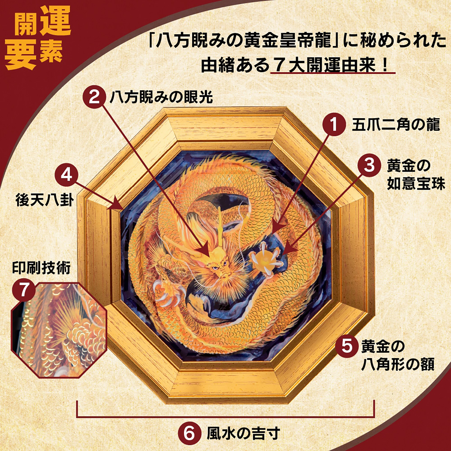 メーカー直送 化殺風水『八方睨みの黄金皇帝龍』‐玄関 風水 八角額 龍