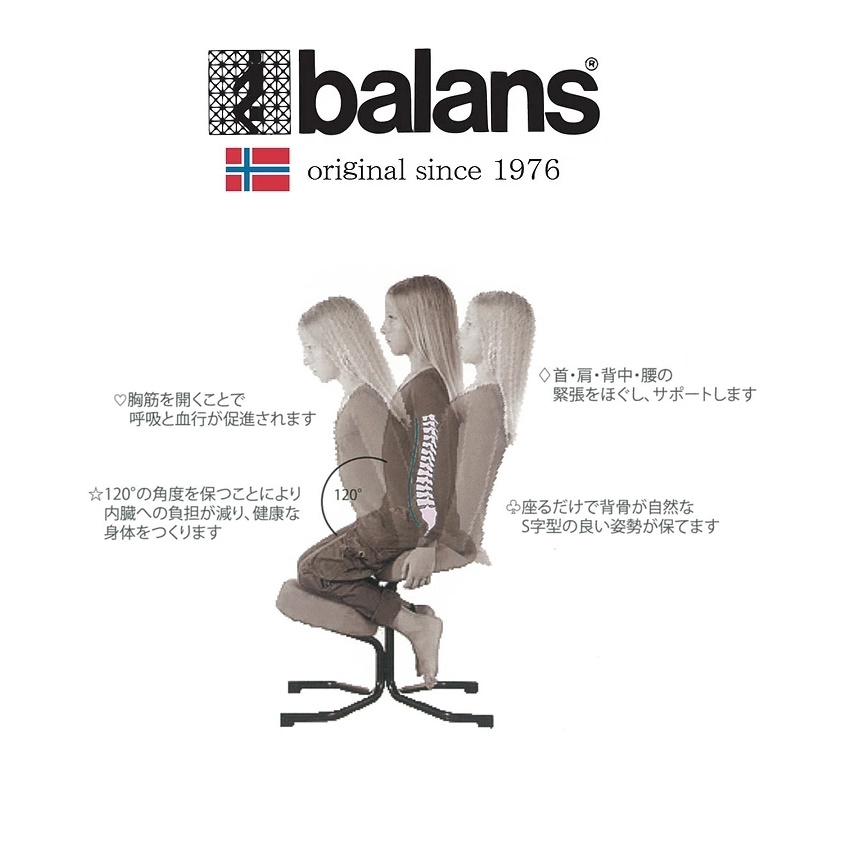 バランススタディ 正規品 バランスチェア カバーリング 国新産業 5064