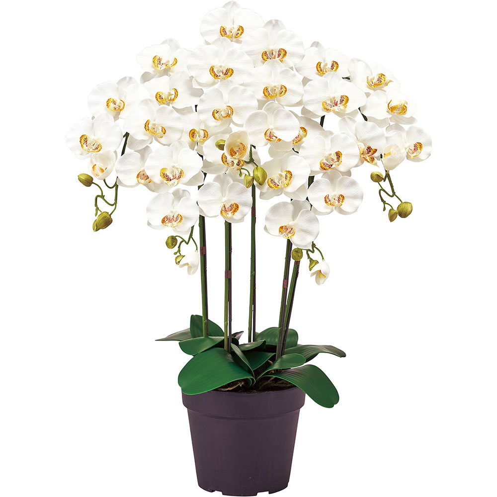 胡蝶蘭 鉢花 5本立 オーキッド おしゃれ 造花 リアル 人気 おすすめ