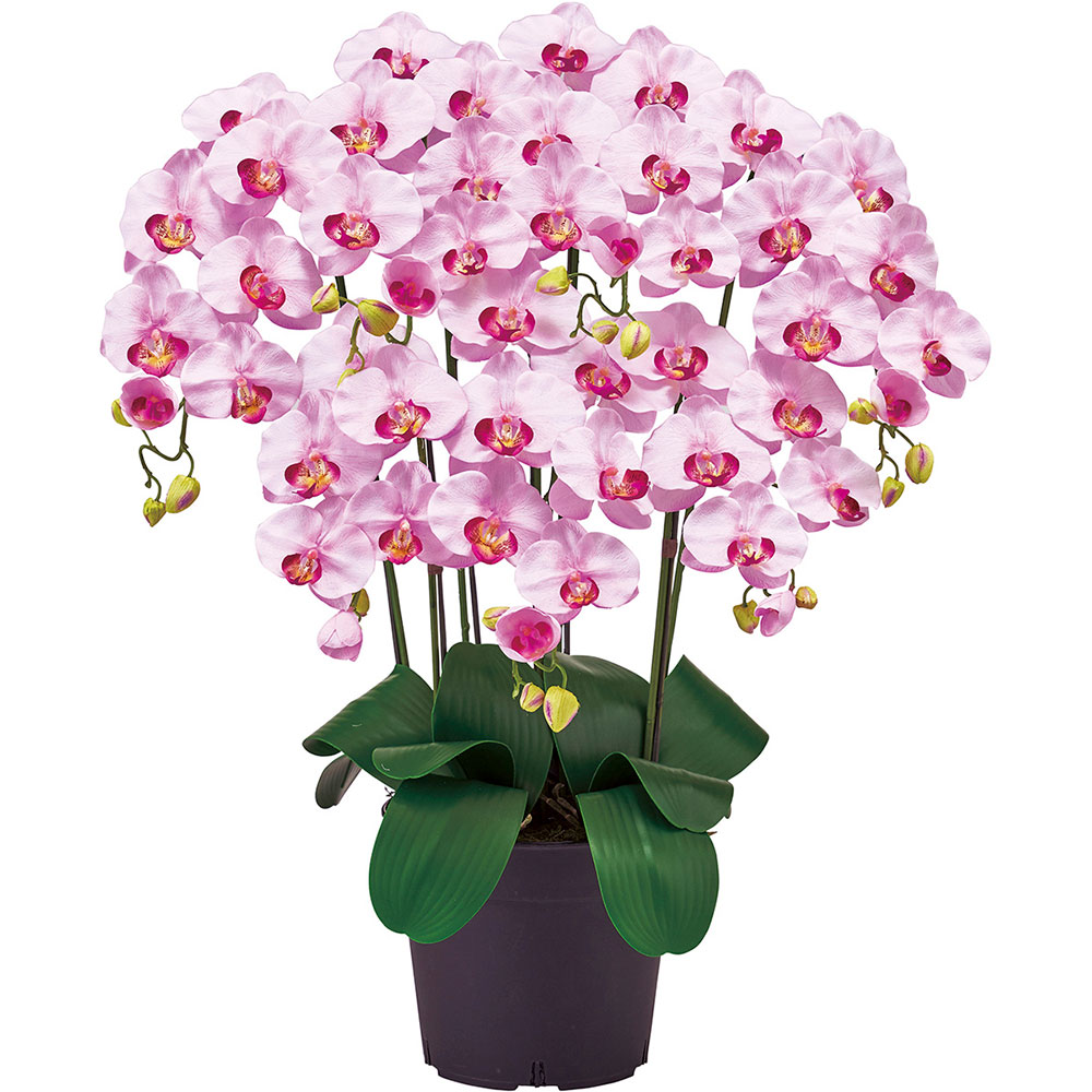 胡蝶蘭 鉢花 7本立 オーキッド おしゃれ 造花 リアル 人気 おすすめ