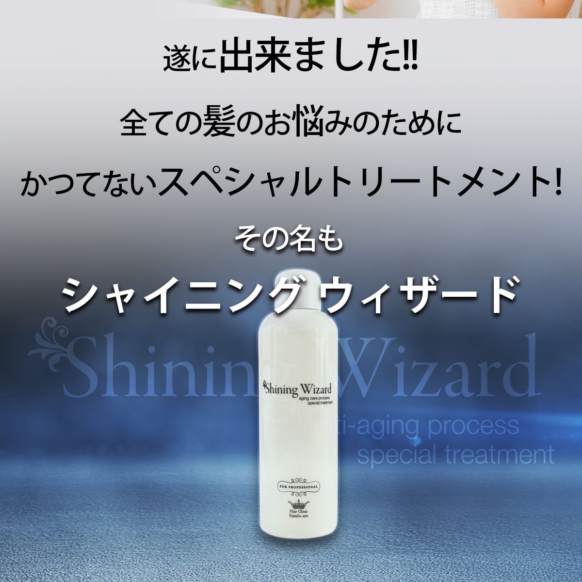 トリートメント ダメージケア ツヤ髪 乾燥 保湿 うねり 美容室専売 髪