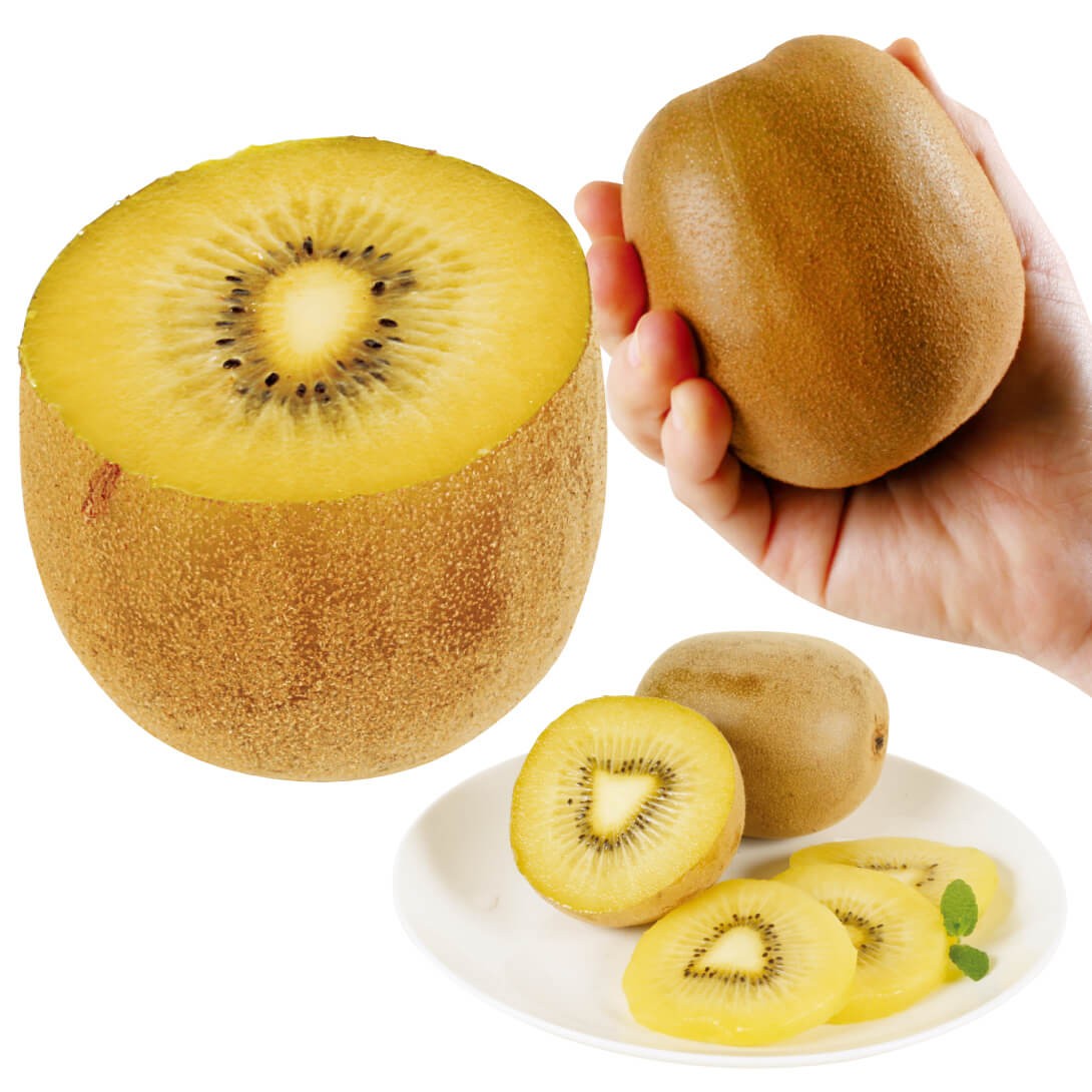 キウイ 苗 孫悟空」の人気商品一覧 | 安い商品を通販サイトから探す