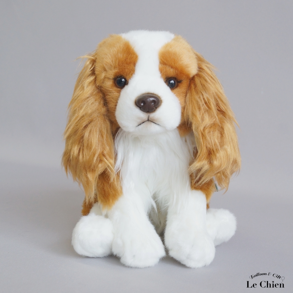 キャバリア ブレンハイム 茶色 犬 雑貨 ぬいぐるみ リアル イヌ いぬ