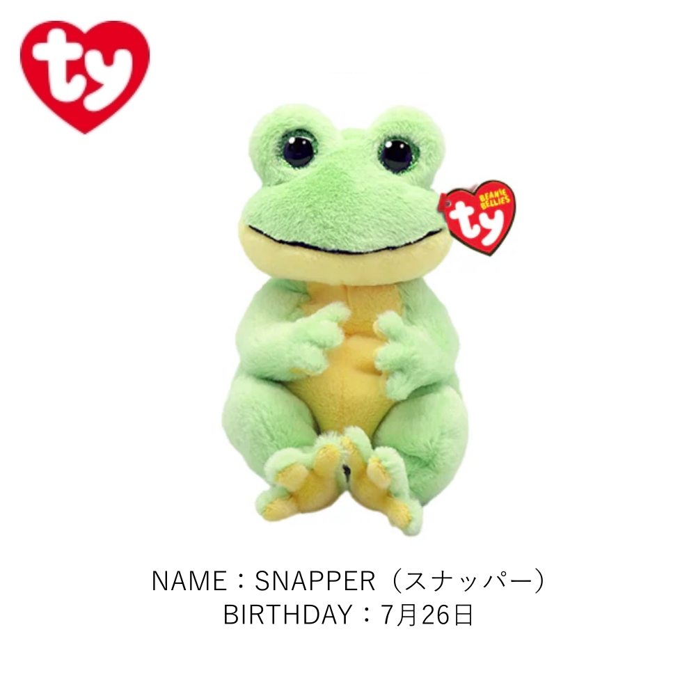 TY ぬいぐるみ ビーニーベリーズ Beanie Bellies ネコ カエル 犬 サル