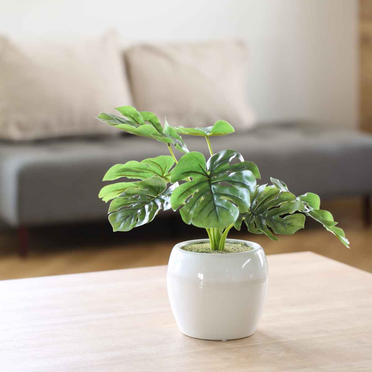 人工観葉植物 ポット モンステラ フェイクグリーン 光触媒 造花