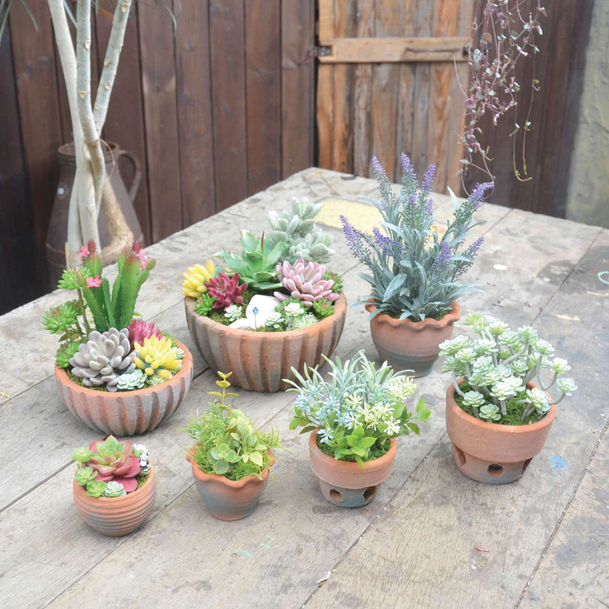 プランター 鉢植え テラコッタポット B 3個入 L （ 植木鉢 プラント