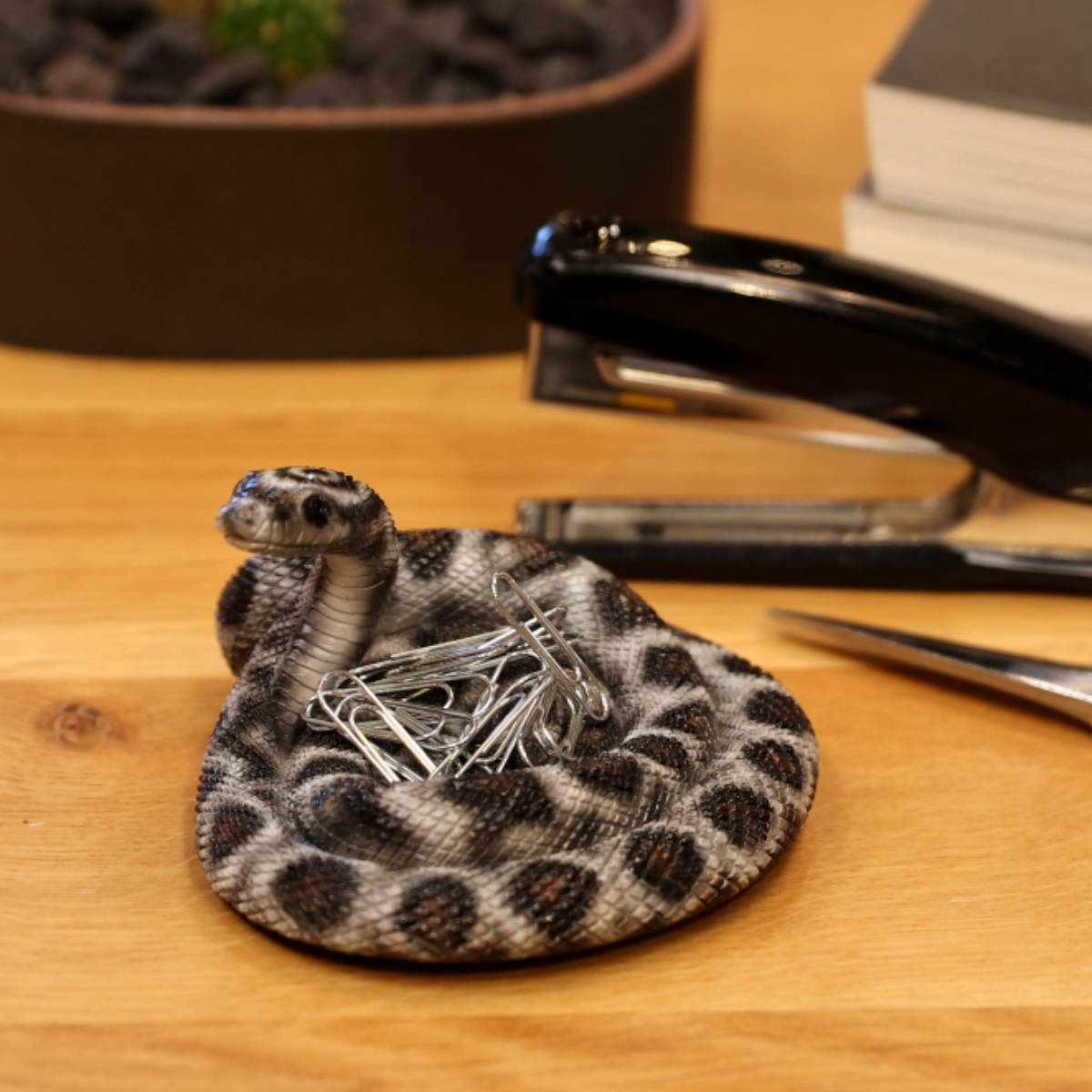 magnet オブジェ REPTILES MAG コーンスネーク （ クリップホルダー