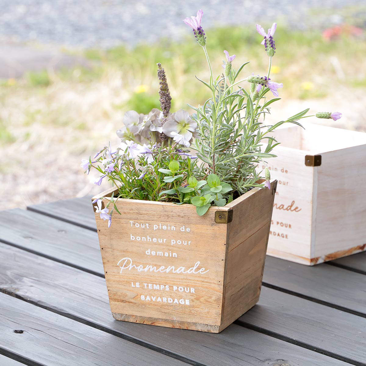 植木鉢 ナチュラルウッドプランタースクエア Mサイズ 木製