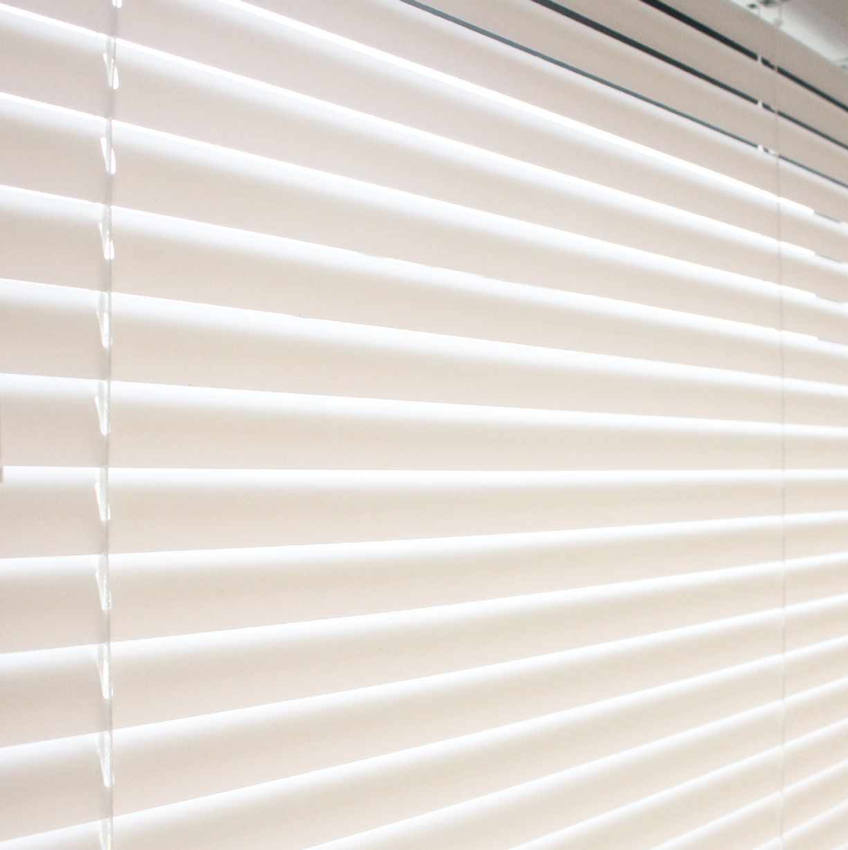 ブラインド カーテン カーテンレール 取付可能 PVC プラスチック 1cm