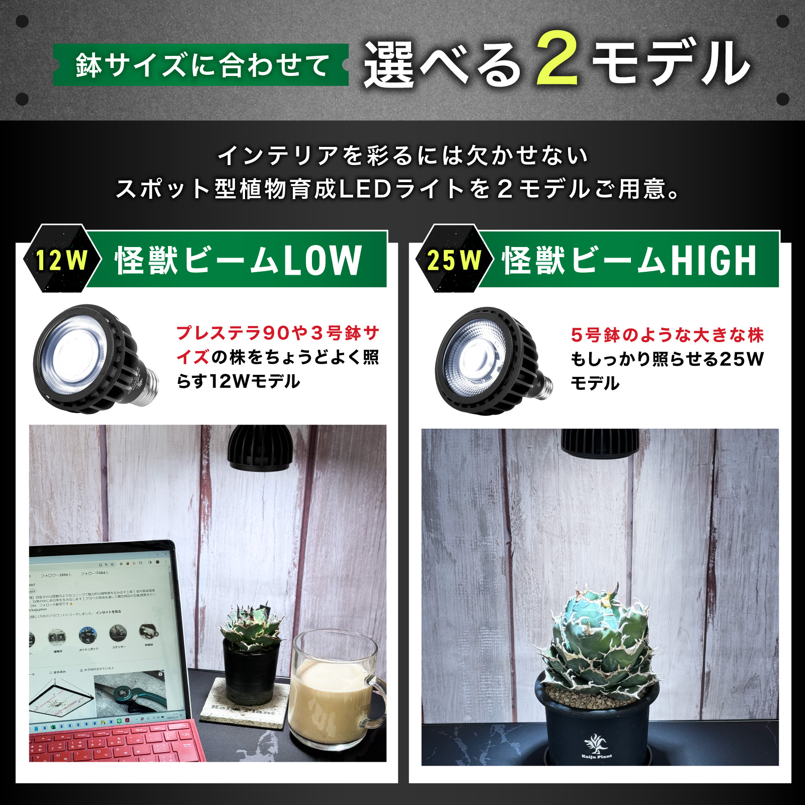 Kaiju Plant 怪獣ビームHIGH リフレクター付き ぐんぐん育つ 室内園芸