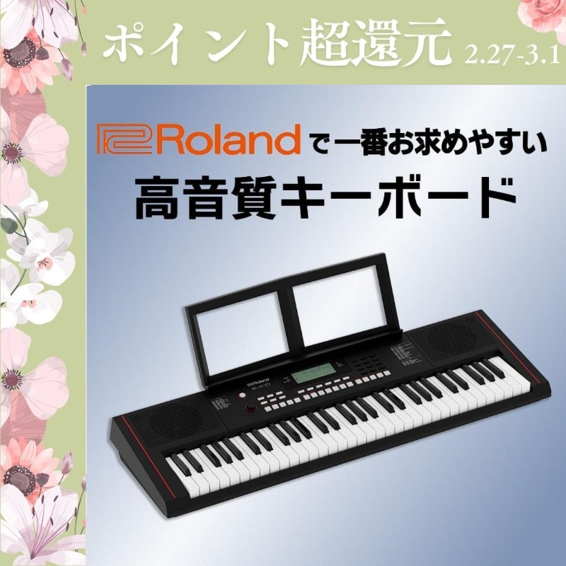 ローランド（Roland） 【2/27〜爆買WEEK】【最短翌日お届け】Roland E
