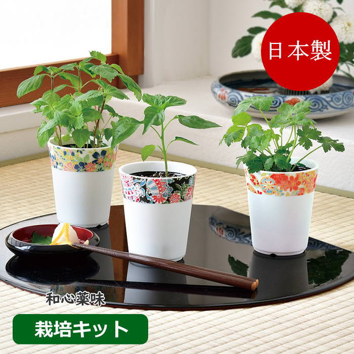 栽培セット栽培セット キット 野菜 園芸 青しそ 大葉 プレゼント 薬味