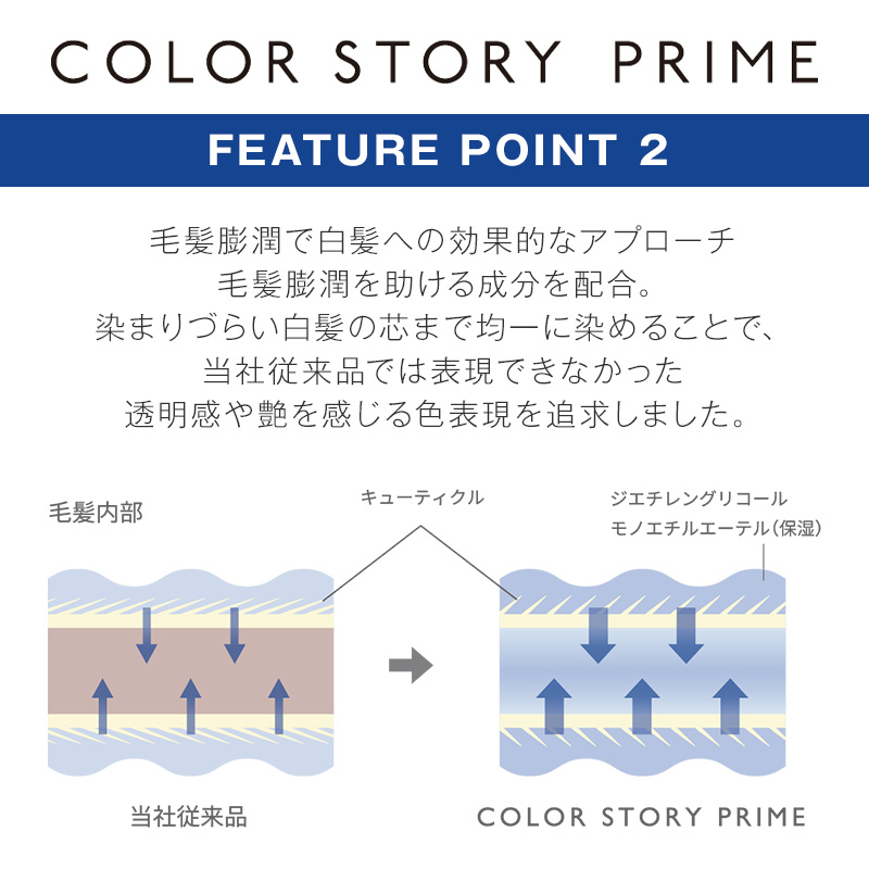 カラーストーリー アリミノ プライム 2剤 1000g|OX2.8％ OX6% カラー剤