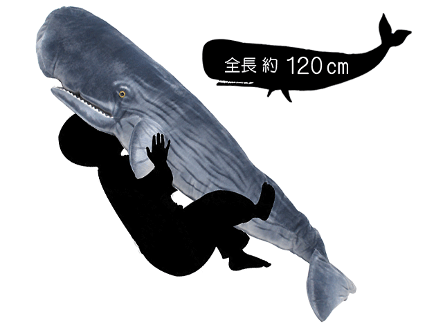 ホエール プラッシュ】 抹香鯨 (マッコウクジラ) 特大ぬいぐるみ 120cm