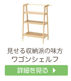 cosine（コサイン） (プレゼント付) コンビラック HR-03NM ハンガー