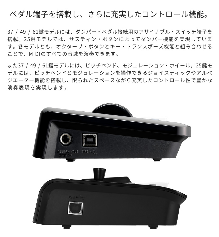 KORG（コルグ） コンパクト MIDI キーボード microKEY2-61〔61鍵モデル