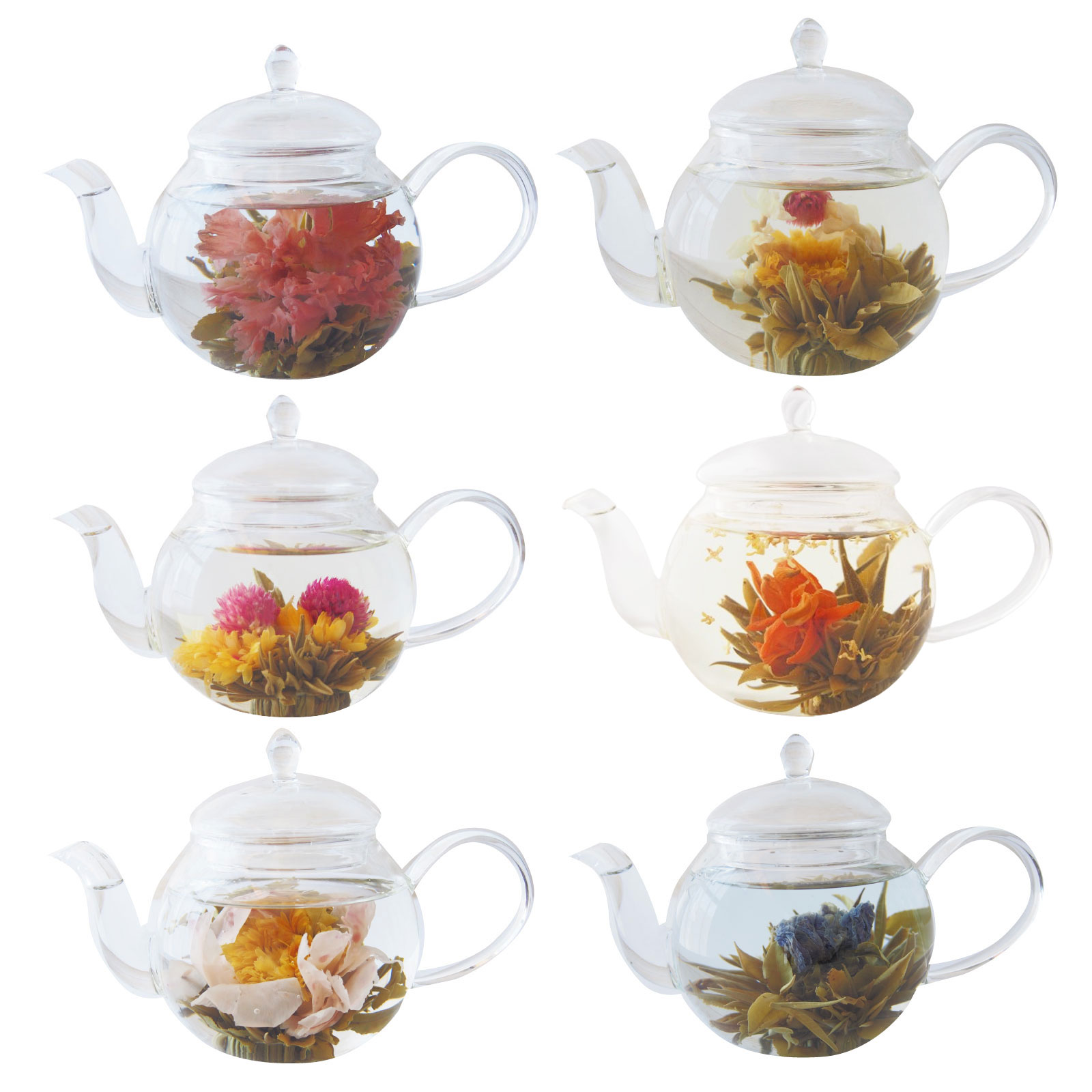 選べる工芸茶 白茶 ホワイトティー 花咲くお茶 こうげいちゃ