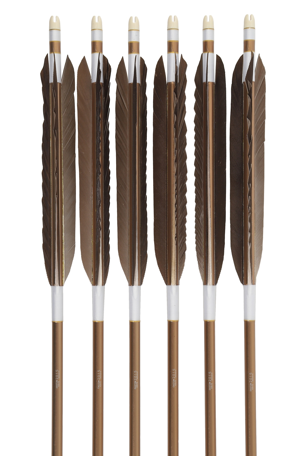 2015シャフト 黒手羽 6種類 6本組 イーストン 黒 茶 推奨弓力 13〜18kg