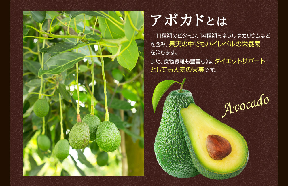 seedcoms（シードコムス） サプリ サプリメント エキストラバージン