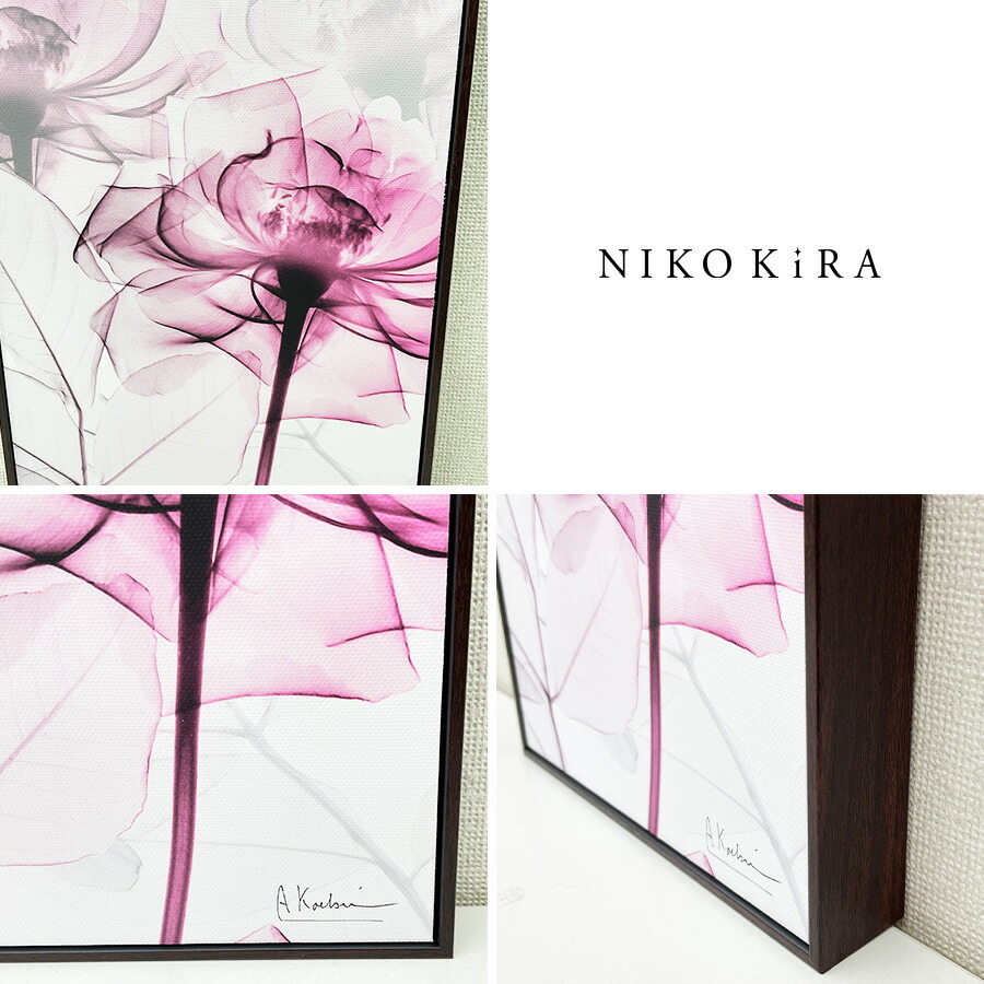 X RAY キャンバスアート ピンクローズ 絵画 インテリア 玄関 絵 アート