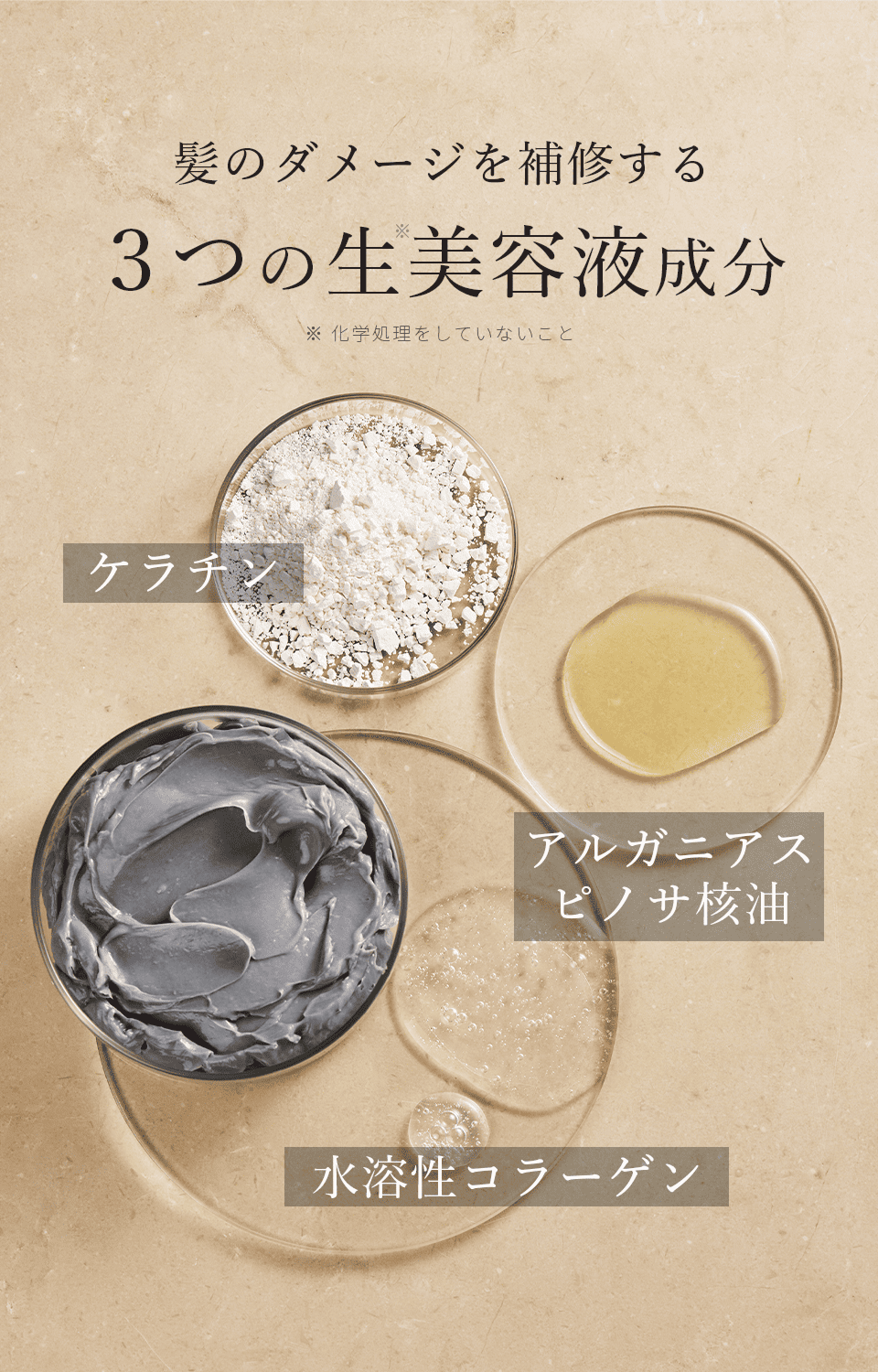 公式】 スカルプケア MEDULLA スカルプクレイスパ ＜選べる香り