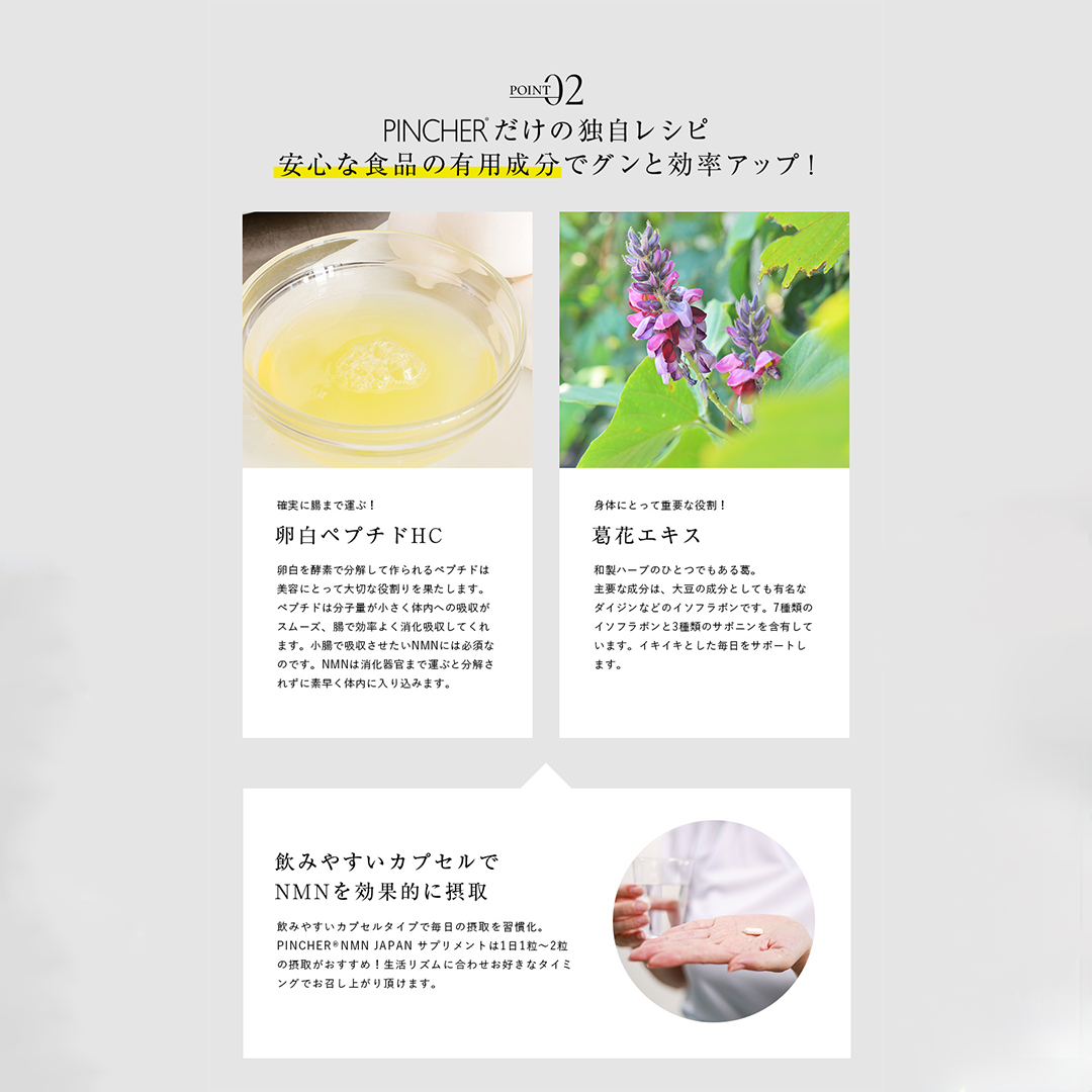 NMN NMN JAPAN supplement エヌエムエヌ ジャパン サプリメント