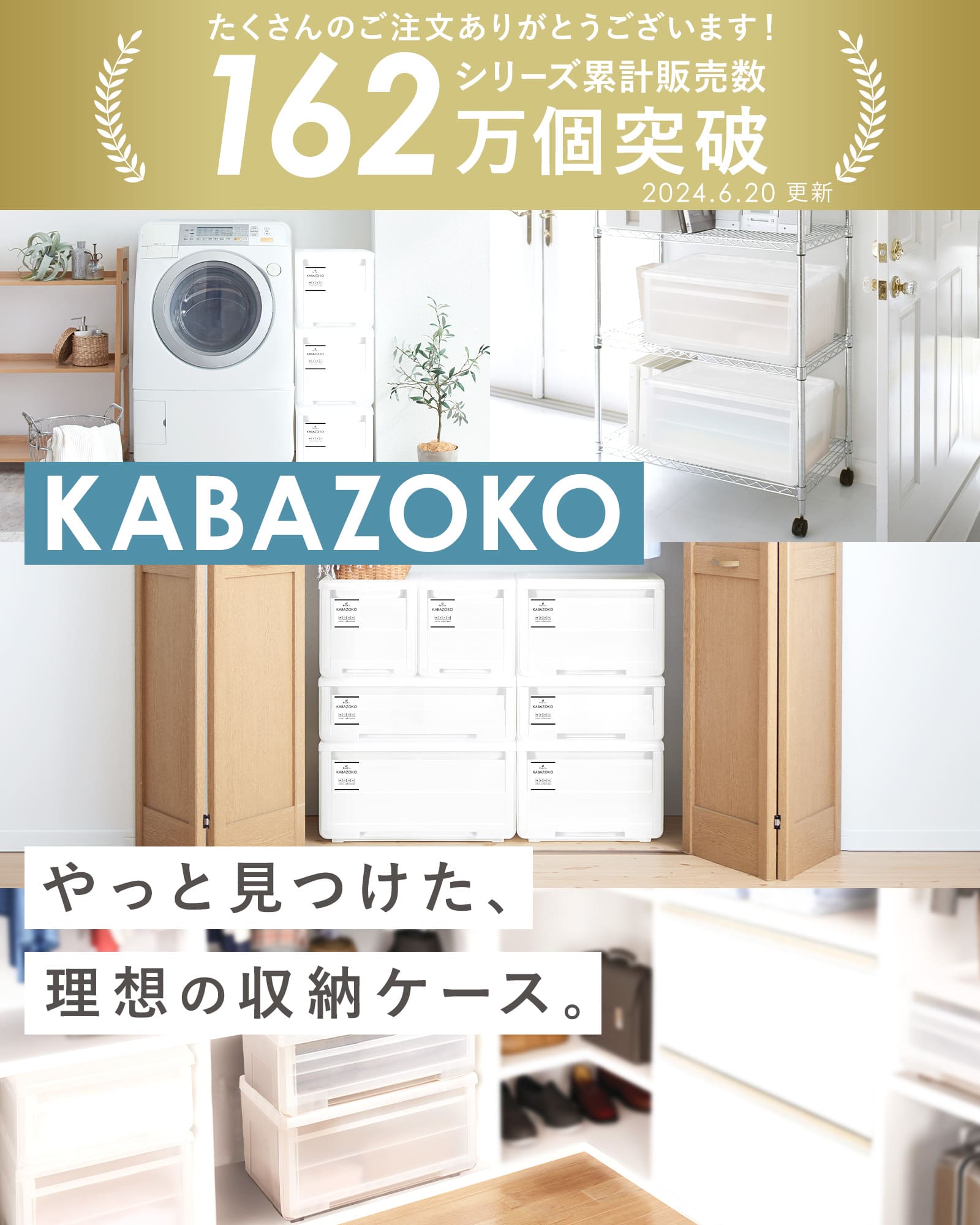 天馬 収納ケース 衣装ケース プロフィックス カバゾコ モノ 60